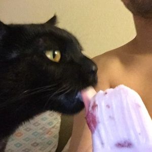 Meet your Posher, Joseph